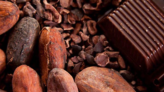 Cacao Benefits Page