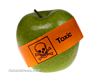 Gmo-Apple-Toxic.jpg