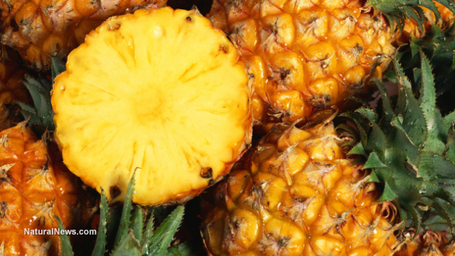 Pineapple juice is 500% more effective than cough syrup
