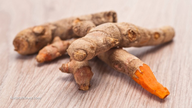 Turmeric vs. Tuberculosis: This superfood can supercharge your immune system for robust protection 