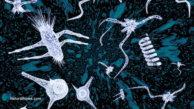 Virus-Sickness-Bacteria-Concept.jpg