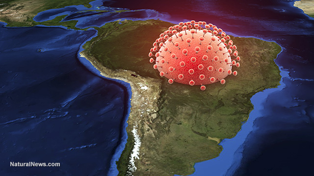 Zika-Virus-South-America.jpg