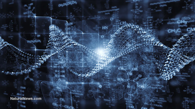 vita artificiale, il DNA, gli enzimi sintetici