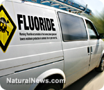 Fluoride-Van-Crossbones.jpg