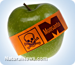 Monsanto roundup
