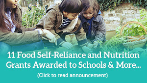 Consumer Wellness Nutrition Grants