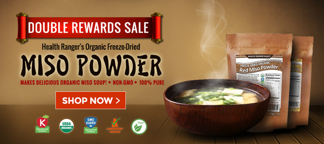 Miso Powder