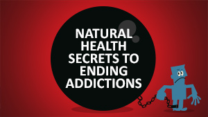 Food Rising grow boxes being donated to 250 schools across America