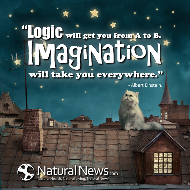 Albert Einstein Quotes Logic Sch ne Spr che ber Das Leben