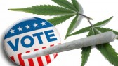 marijuanavote2014