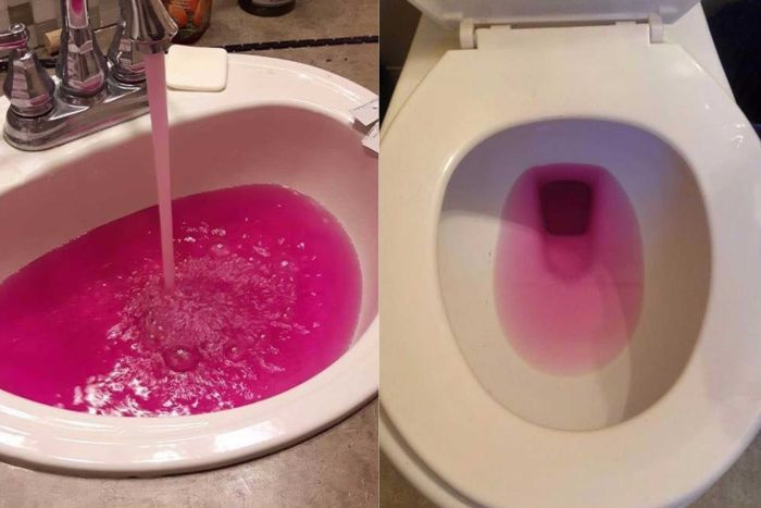 Image: Canadian residents freaked out as bright pink water gushes from taps