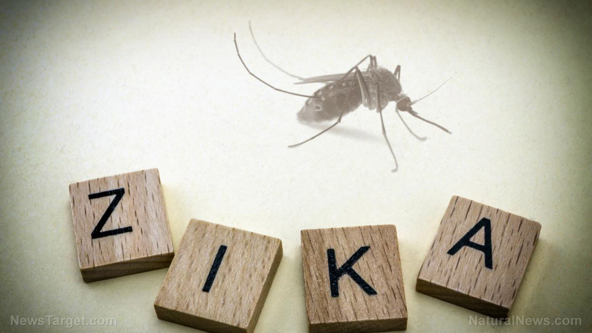 Mosquito-Zika-Virus.jpg