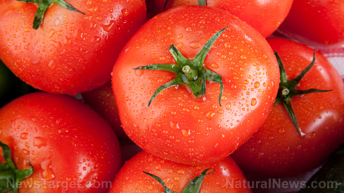 Tomatoes-Vine-Bunch.jpg