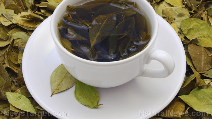 Herbal-Green-Tea-Cup-Leaves.jpg