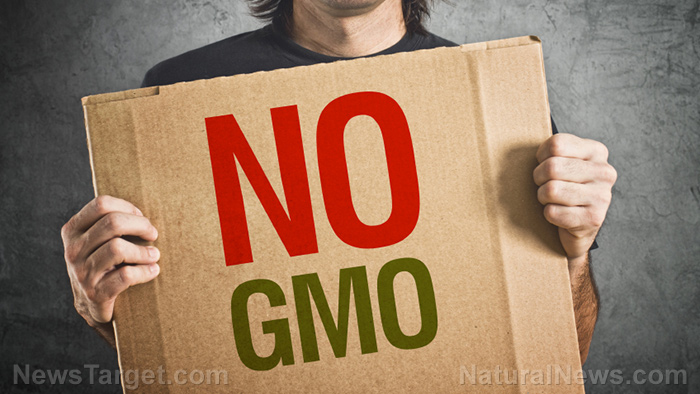 NO-GMO-Protest-Sign-Cardboard.jpg
