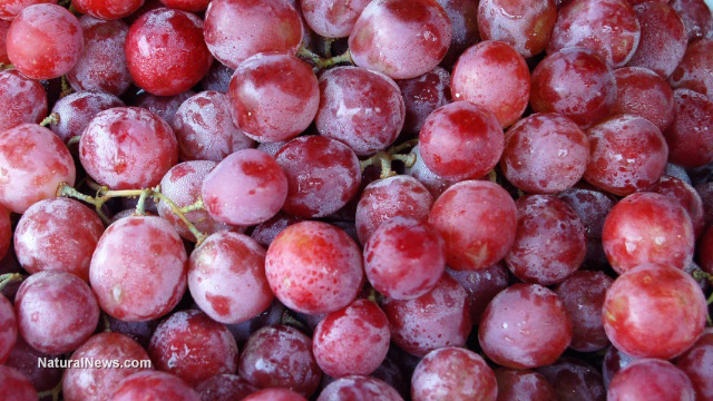 Grapes-Background.jpg