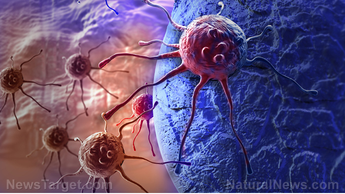 Cancer-Cell-Attack-Body-Virus-Bacteria.j