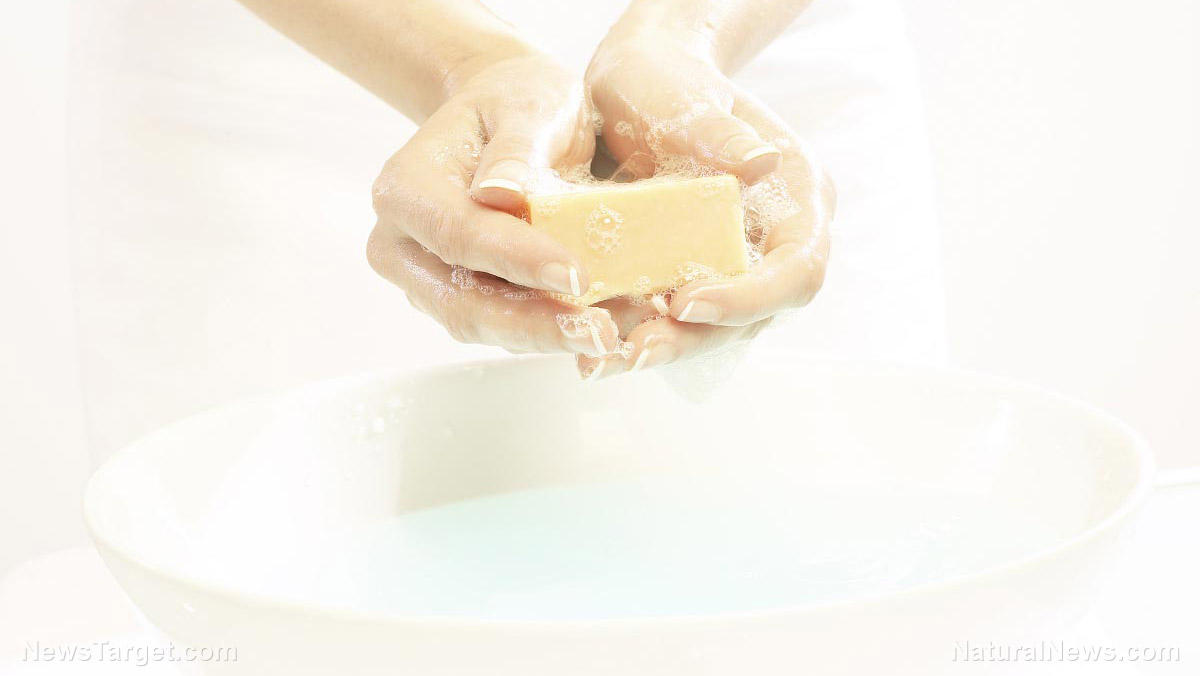 Wash-Hands-Soap-Bar-Suds.jpg