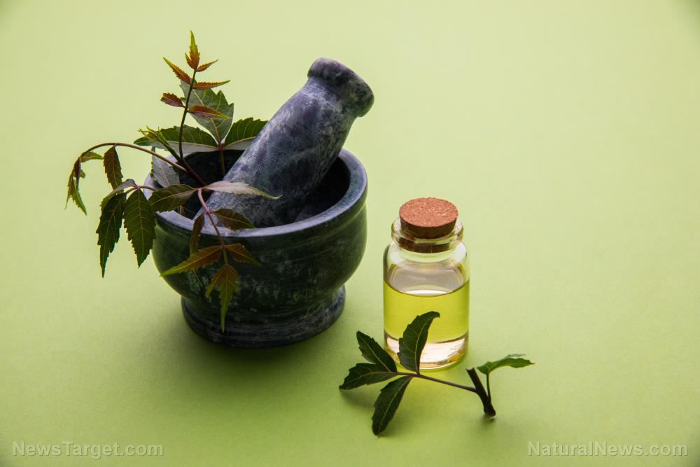 Image: Skin care 101: How essential oils help reduce acne