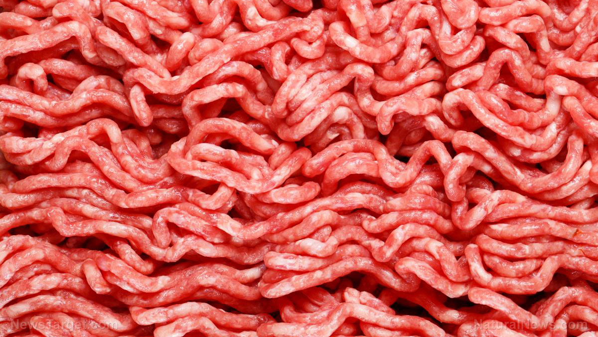 <div>Fake meat grown in labs might make investors rich, but it’s a nightmare for human health</div>