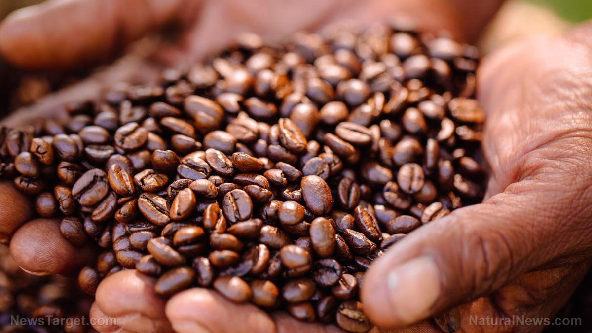 Image: FOOD CRISIS BREWING: Robusta coffee bean prices hit 12-year record high amid El Nino threat