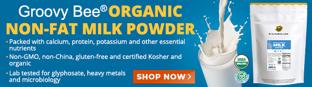 Groovy Bee Organic Coconut Milk Powder