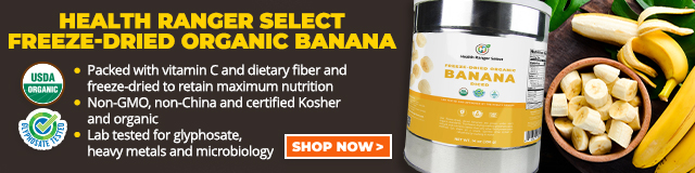 Freeze-Dried Organic Banana