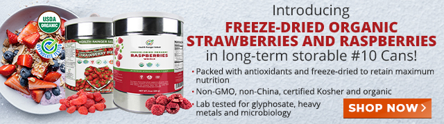 Freeze-Dried Organic Strawberries and Raspberries