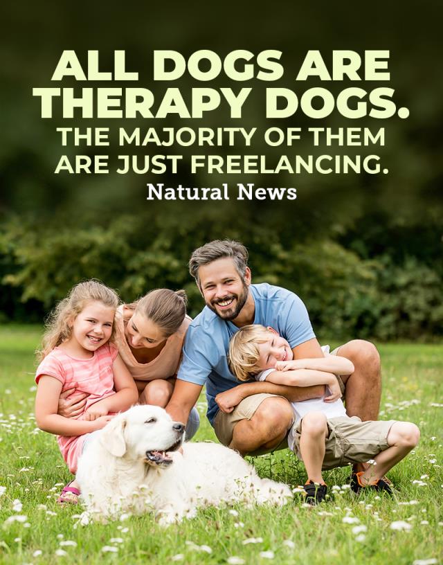 All-Dogs-Are-Therapy-Dogs.jpg
