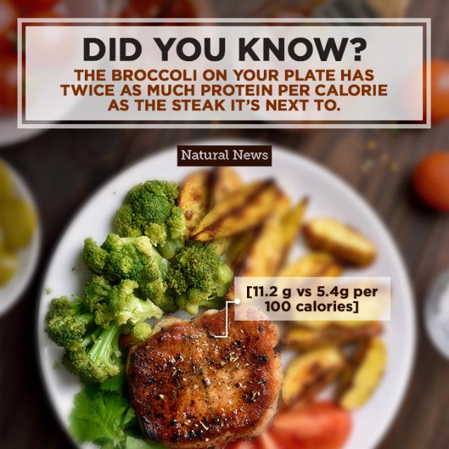 The Broccoli on Your Plate…