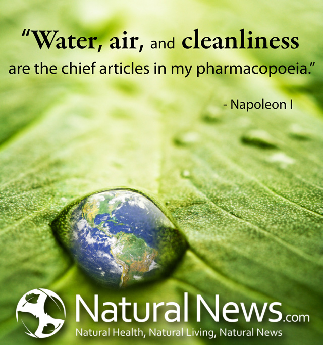 Water, air, and cleanliness are the chief articles in my pharmacopoeia