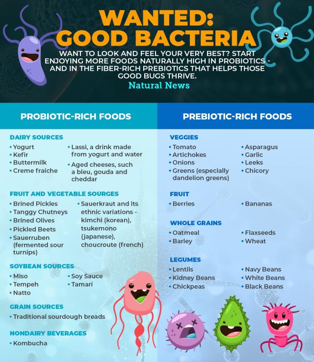 Wanted-Good-Bacteria.jpg