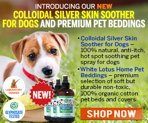 Colloidal-Silver-Skin-Soother-for-Dogs-MR.jpg