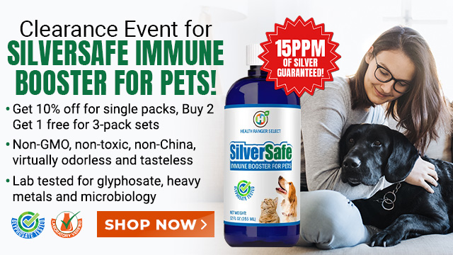 SilverSafe Immune Booster for Pets - Clearance Event