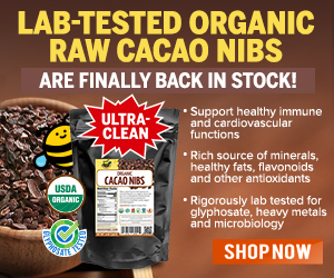 Organic-Raw-Cacao-Nibs-MR.jpg