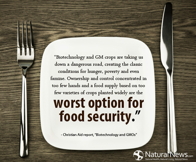 Biotechnology and GM crops are taking us down a dangerous road | CHENNAI  YOUTH TIMEZ