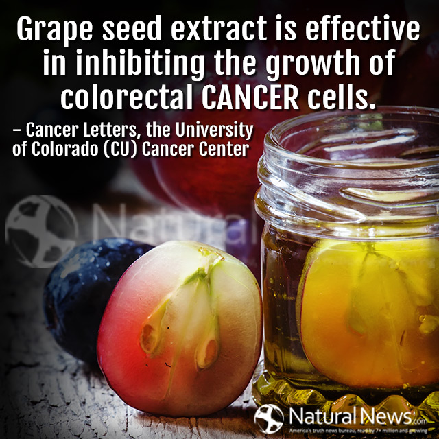 Grape seed extract is effective in inhibiting...