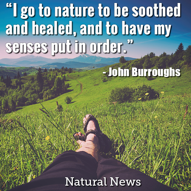 I go to nature to be soothed and healed, and to