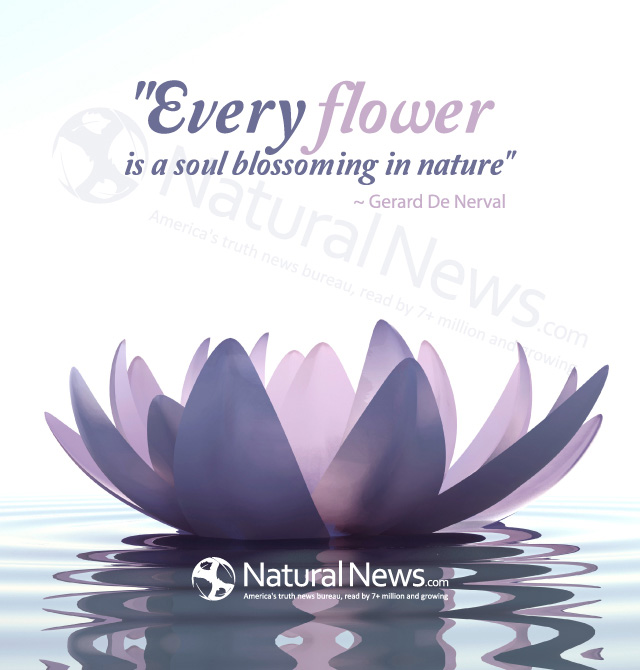 Every flower is a soul blossoming in nature - NaturalNews.com
