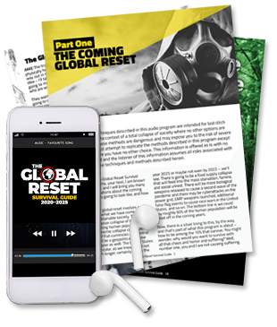 The Global Reset Survival Guide