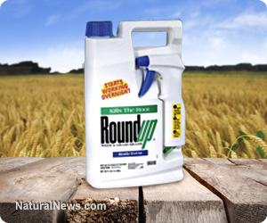 Roundup herbicide