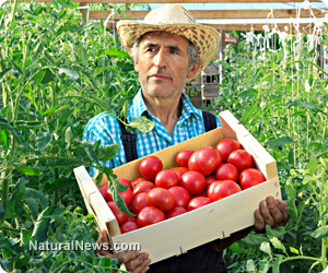 Urban gardening