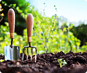 Organic gardening