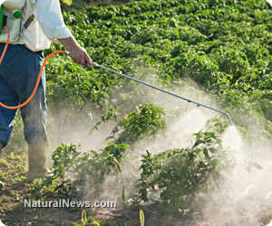 Systemic pesticides