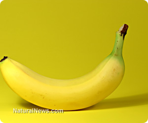 Bananas