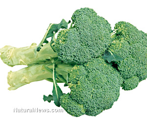 Broccoli