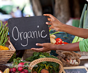 Organic Food Party