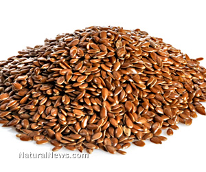 Flax seed