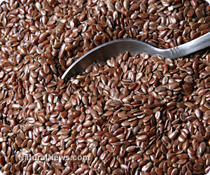 Flaxseed