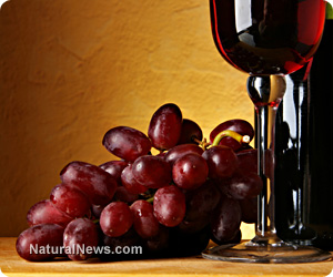 Resveratrol